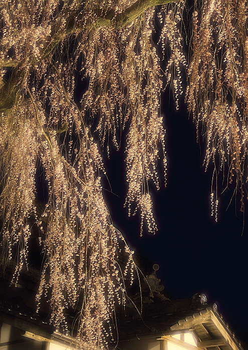 a0140608_844022.jpg