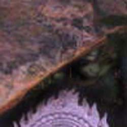 e0103408_17561236.jpg
