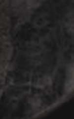 e0103408_1872871.jpg
