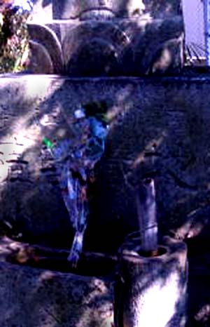 e0103408_189360.jpg
