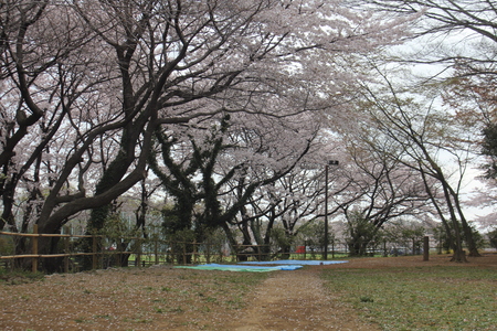 f0186509_21591631.jpg