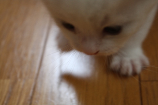 d0126813_215329.jpg