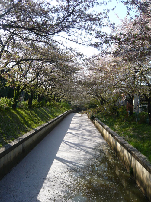 e0214513_11214286.jpg