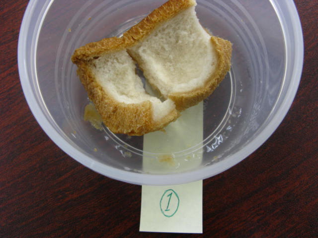 f0222722_1038161.jpg