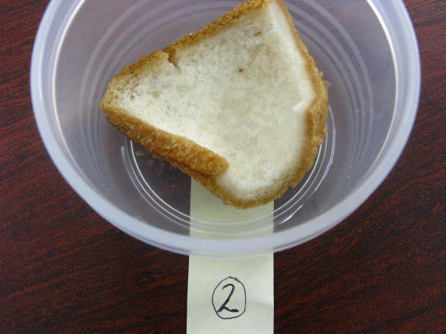 f0222722_1038566.jpg