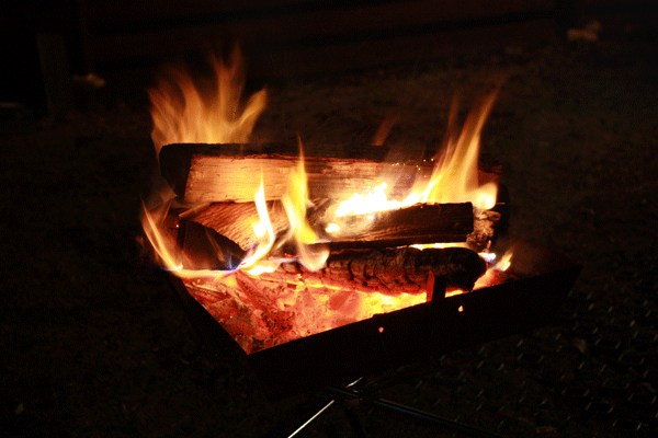f0203423_16463683.gif