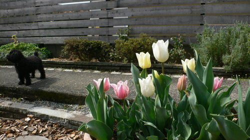 f0060424_23435042.jpg