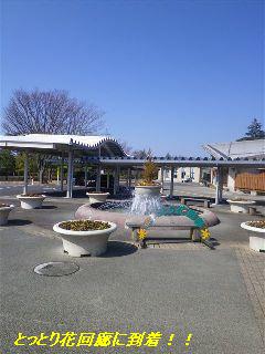 b0102728_16324843.jpg