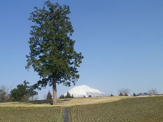 b0102728_16511942.jpg