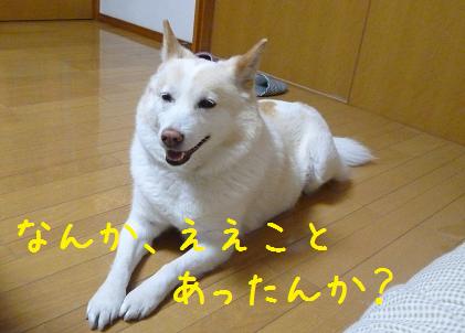 b0138430_2061541.jpg