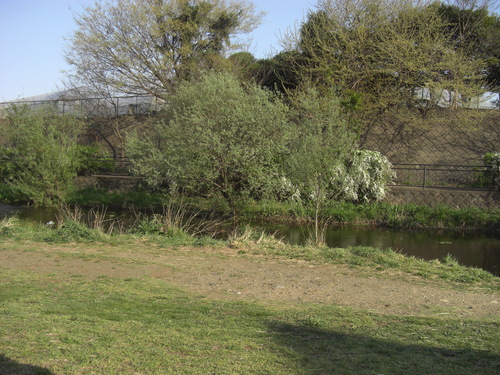 b0085331_10522449.jpg