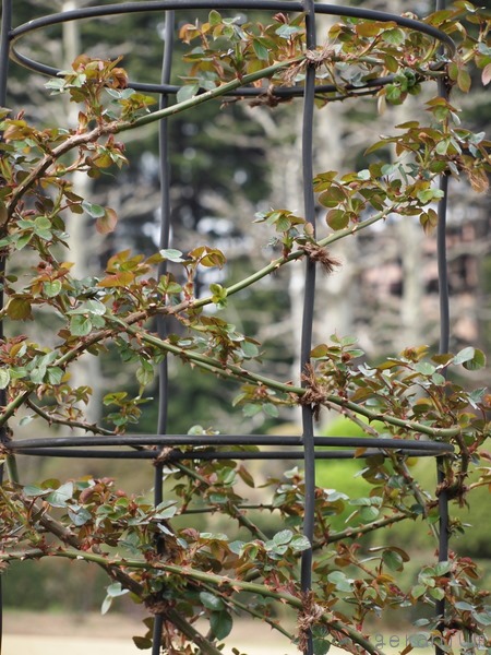 c0133533_0395368.jpg