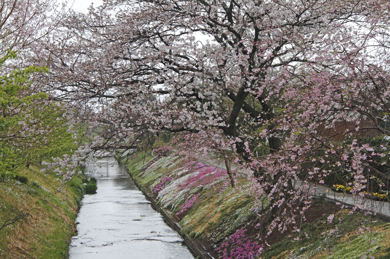 b0042837_20471650.jpg