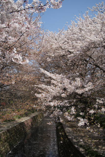 b0117437_21381244.jpg