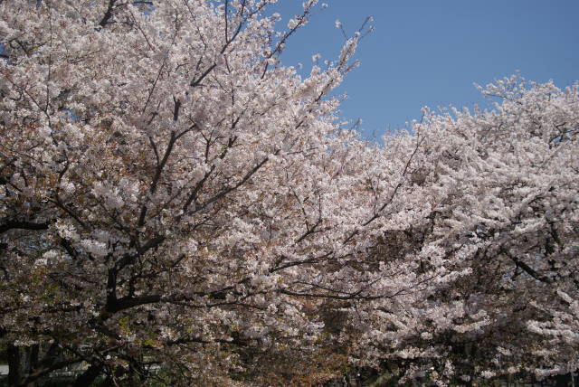 b0117437_21424139.jpg