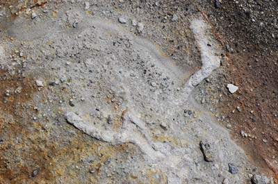 c0019338_184554.jpg