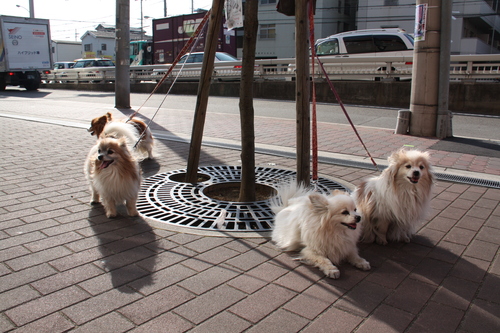 c0153740_6493316.jpg