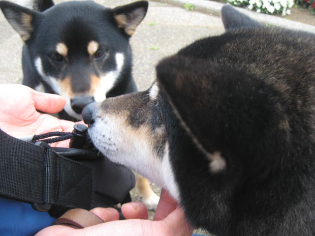 f0058241_19203130.jpg