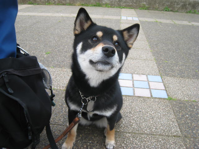 f0058241_19213399.jpg