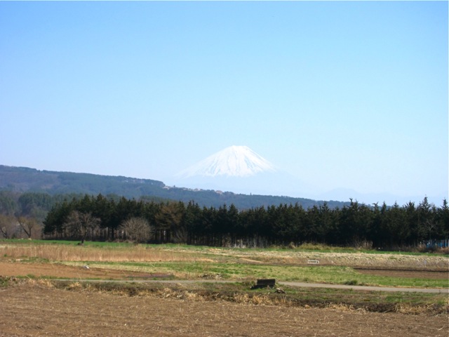 b0167343_052209.jpg