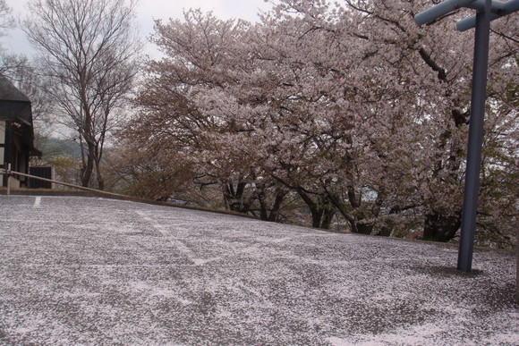 b0200747_21212883.jpg