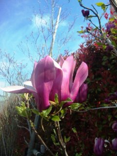 f0201360_12332667.jpg