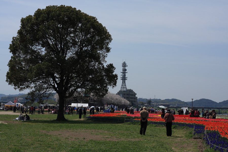 c0213564_1572979.jpg