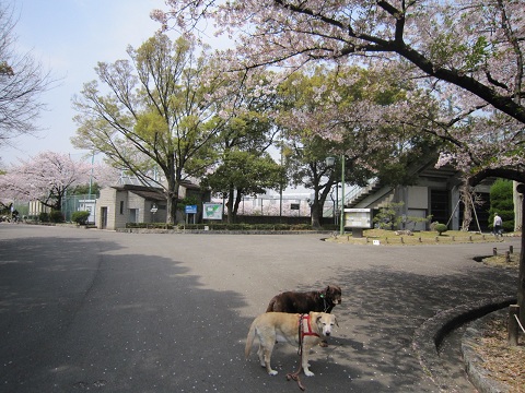 d0120665_1556513.jpg
