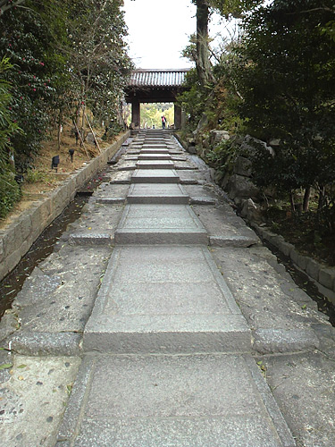 a0135367_16321825.jpg
