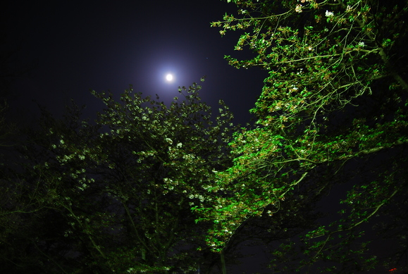 d0229369_9342066.jpg