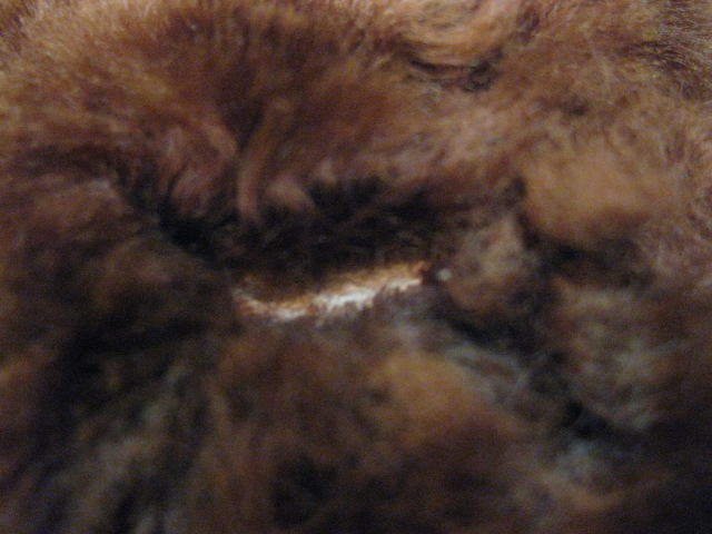 c0226387_12215137.jpg