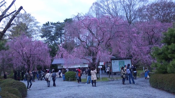 c0204188_1055557.jpg