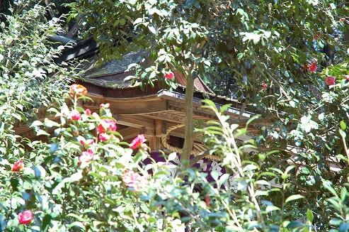 b0100489_7311758.jpg