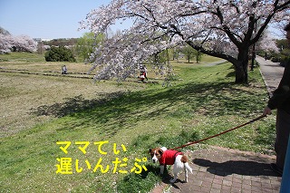 e0121589_20334814.jpg
