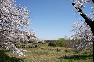 e0121589_2033582.jpg