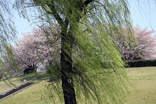 e0121589_20344582.jpg