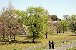 e0121589_2036149.jpg