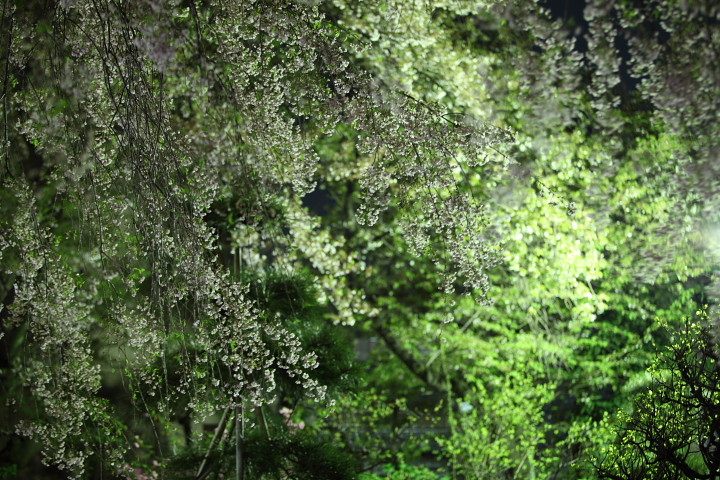 f0164989_0465020.jpg