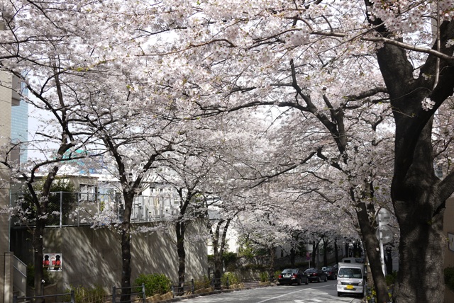 a0127090_2123736.jpg