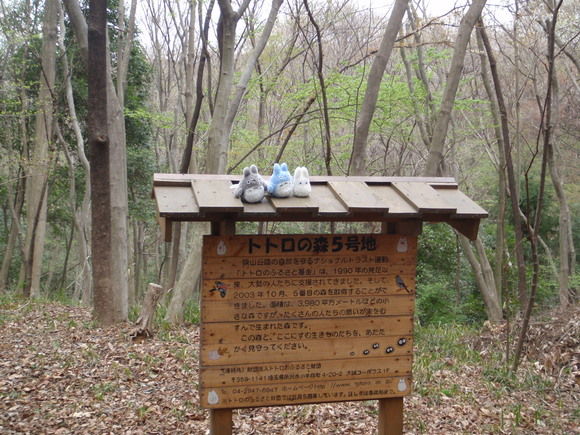 d0034291_17581751.jpg