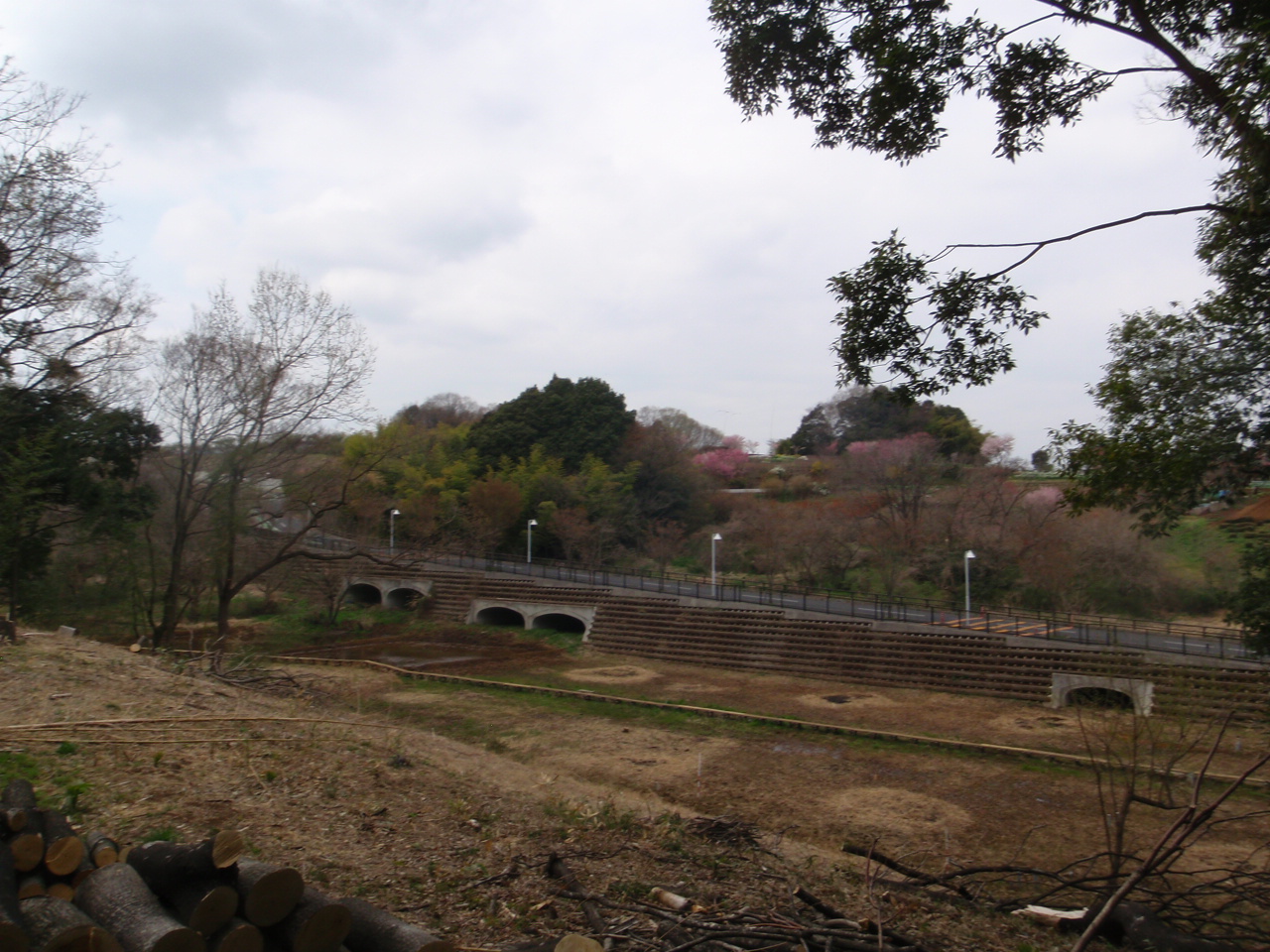 d0034291_1759610.jpg