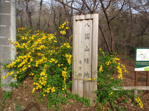d0034291_188459.jpg