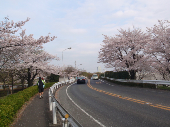 d0034291_2041311.jpg