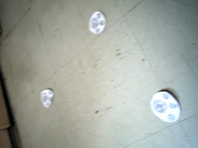 b0007895_17304925.jpg