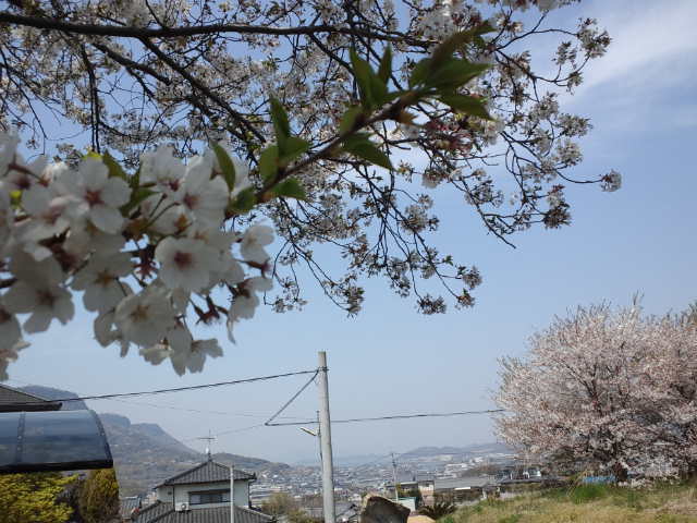 f0077595_9451326.jpg