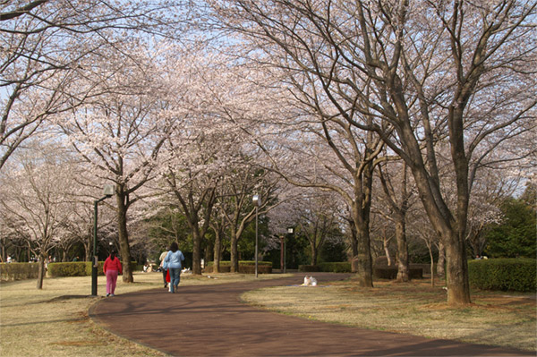 e0189298_22415768.jpg
