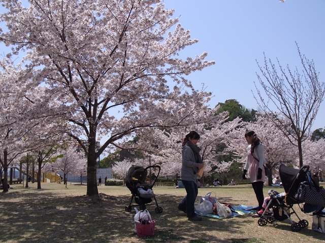 b0184099_20455333.jpg