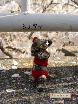 e0041500_23442080.jpg