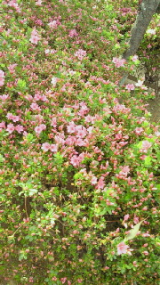 f0114900_16163170.jpg