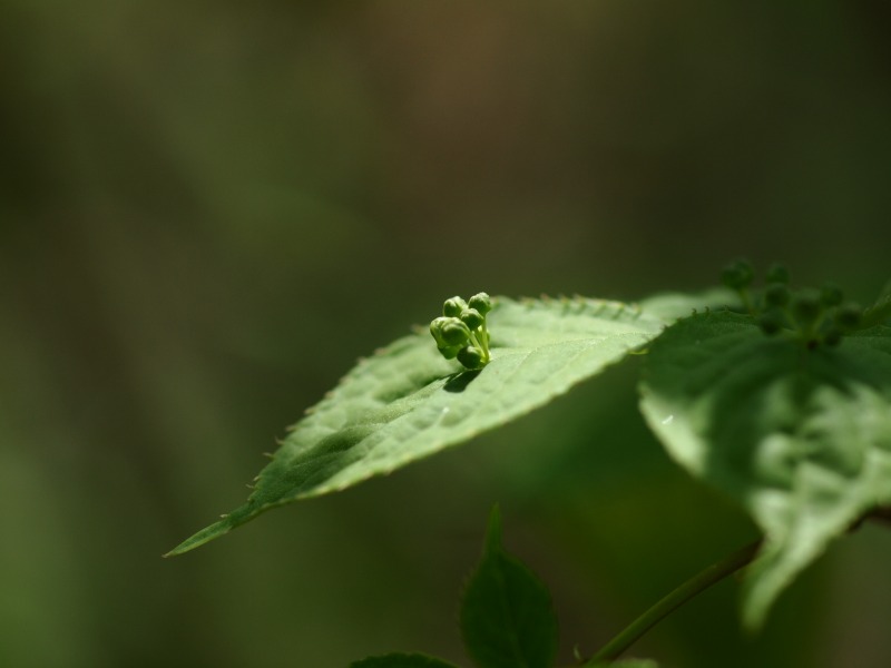 f0224100_2232146.jpg